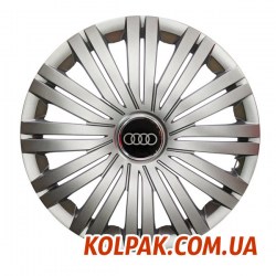 audi31